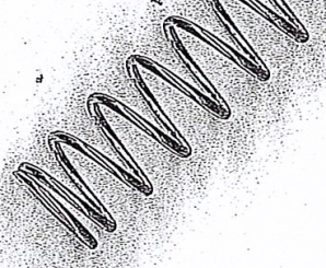 Druckfeder d 1.00 x D 10.0 x Lo 39.0 