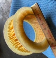 Oeltank Entlüftung Filter 